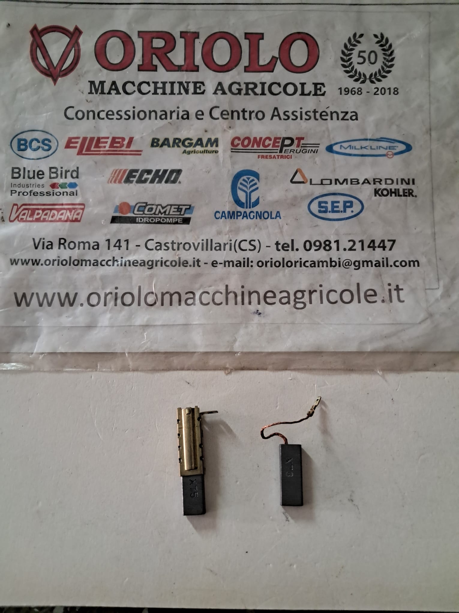 COPPIA SPAZZOLE PER MOTOSEGA ELETTRICA 